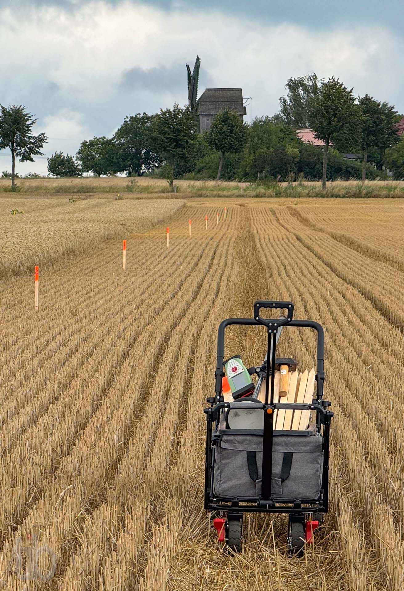 Beim Abstecken in Wolmirstedt