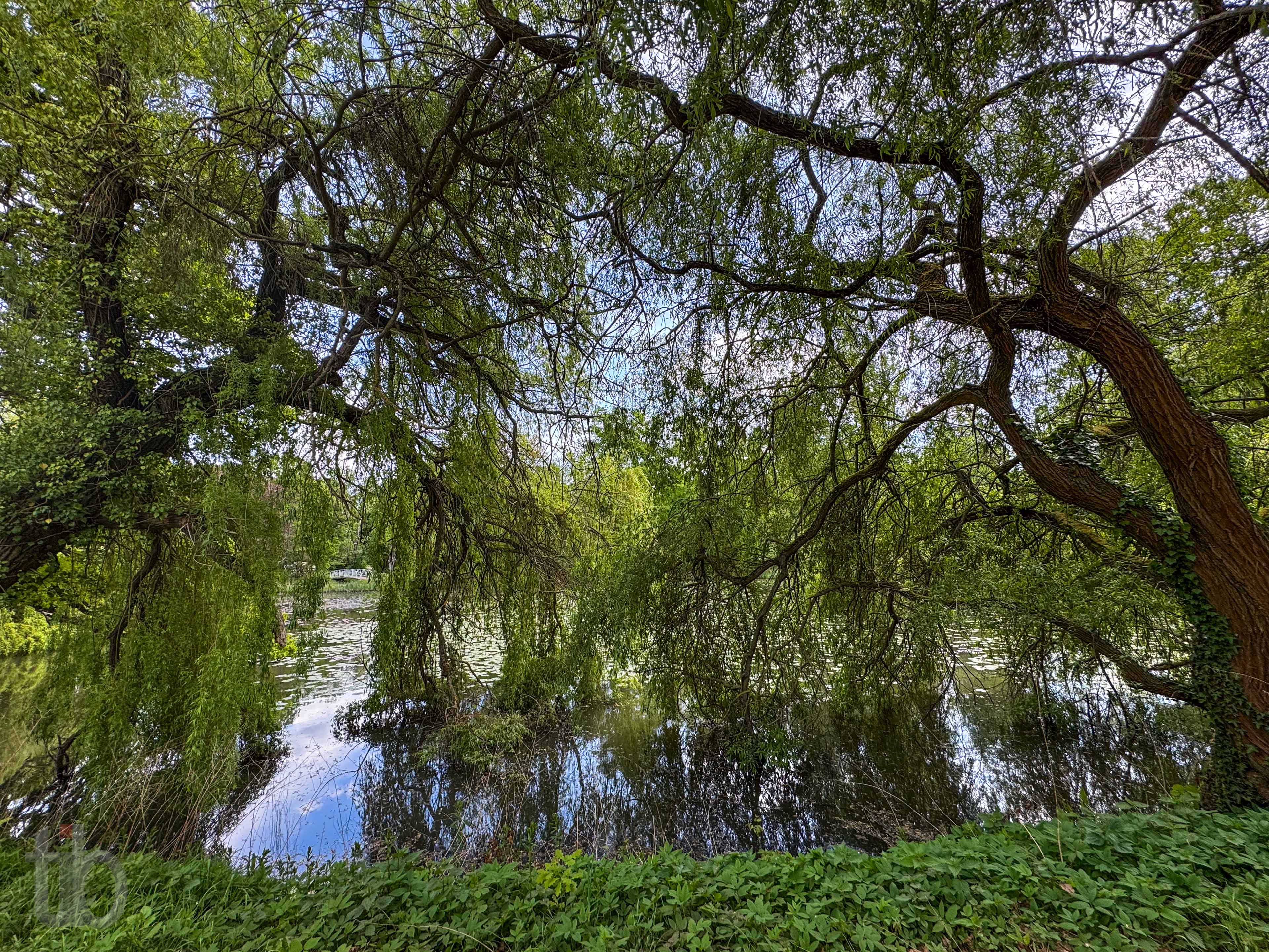Schwanenteich mit Brücke