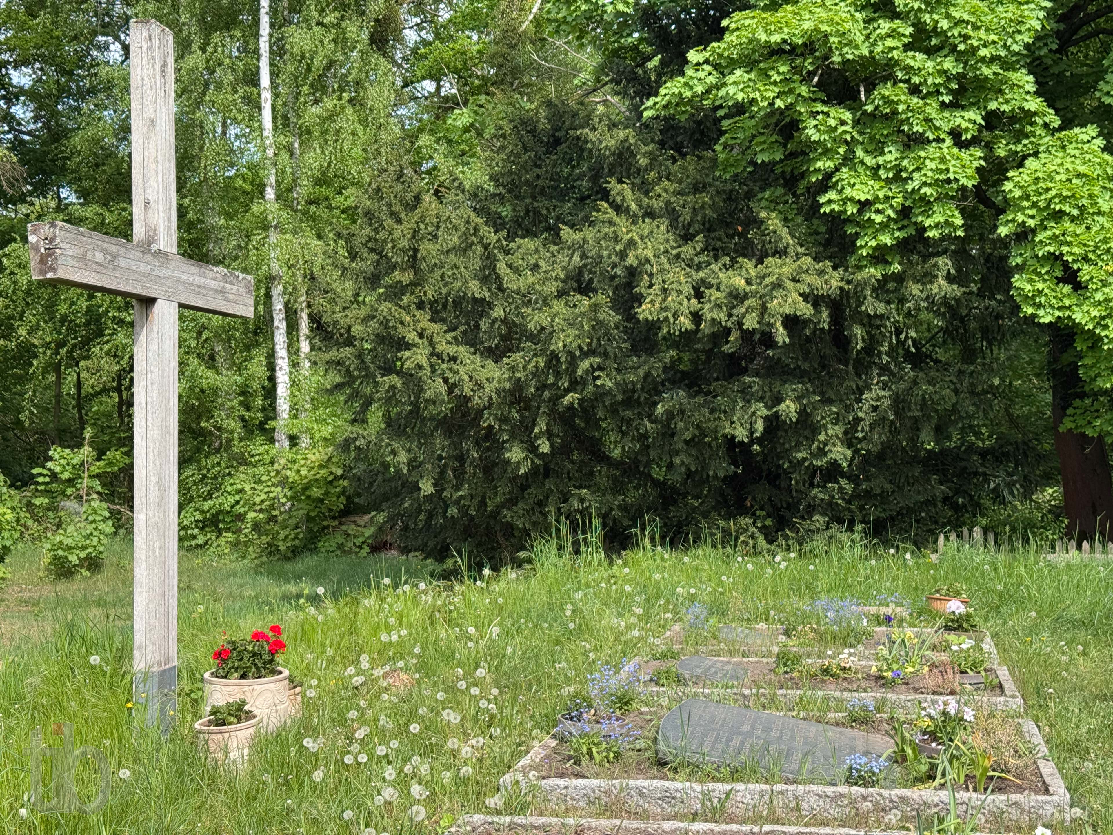 Begräbnisstätte der Familie von Bismarck am Ostufer des Teiches