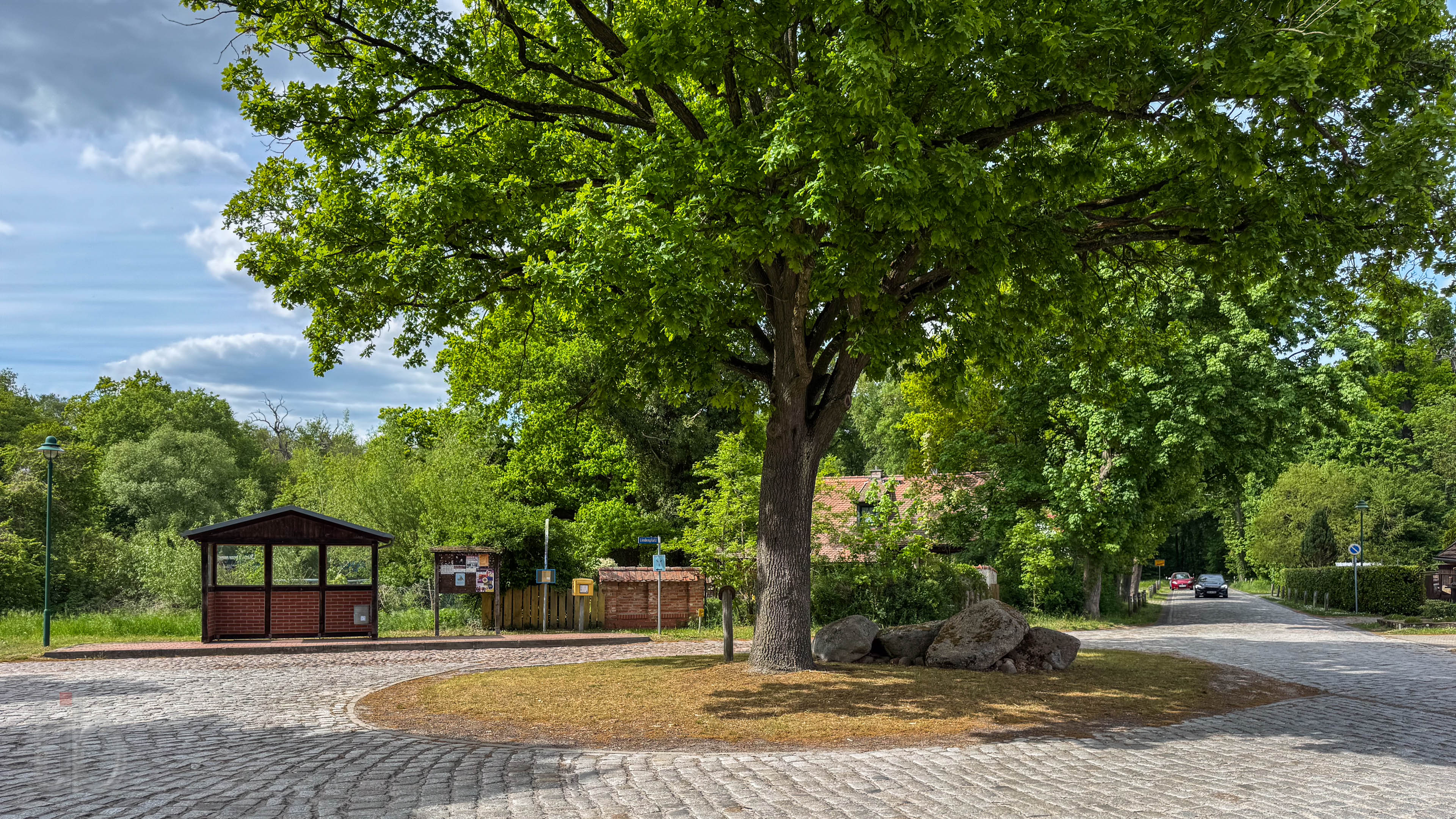 Eiche und Bushaltestelle am Briester Lindenplatz